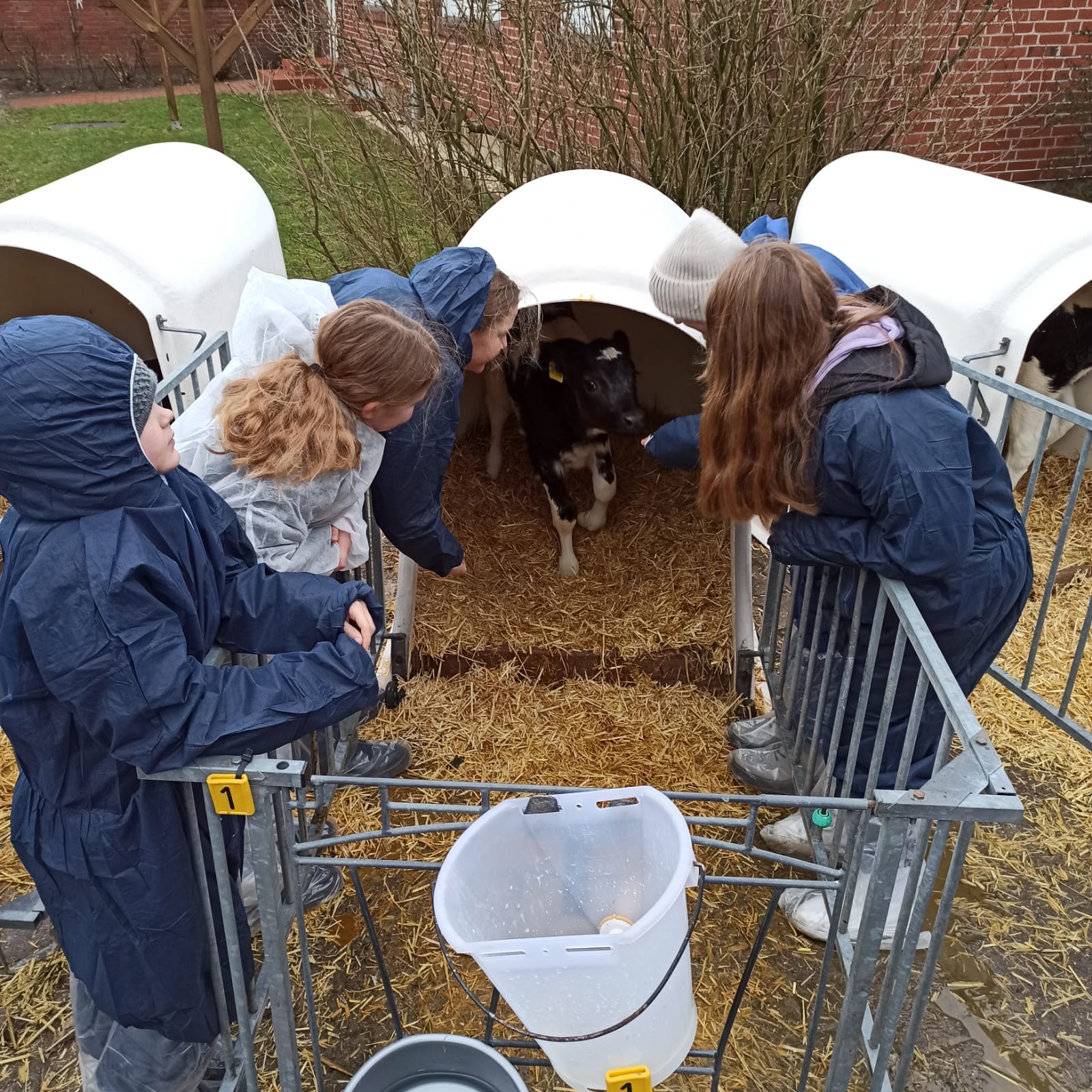 Landwirtschaft Hautnah Erleben - Schule Am Schloss